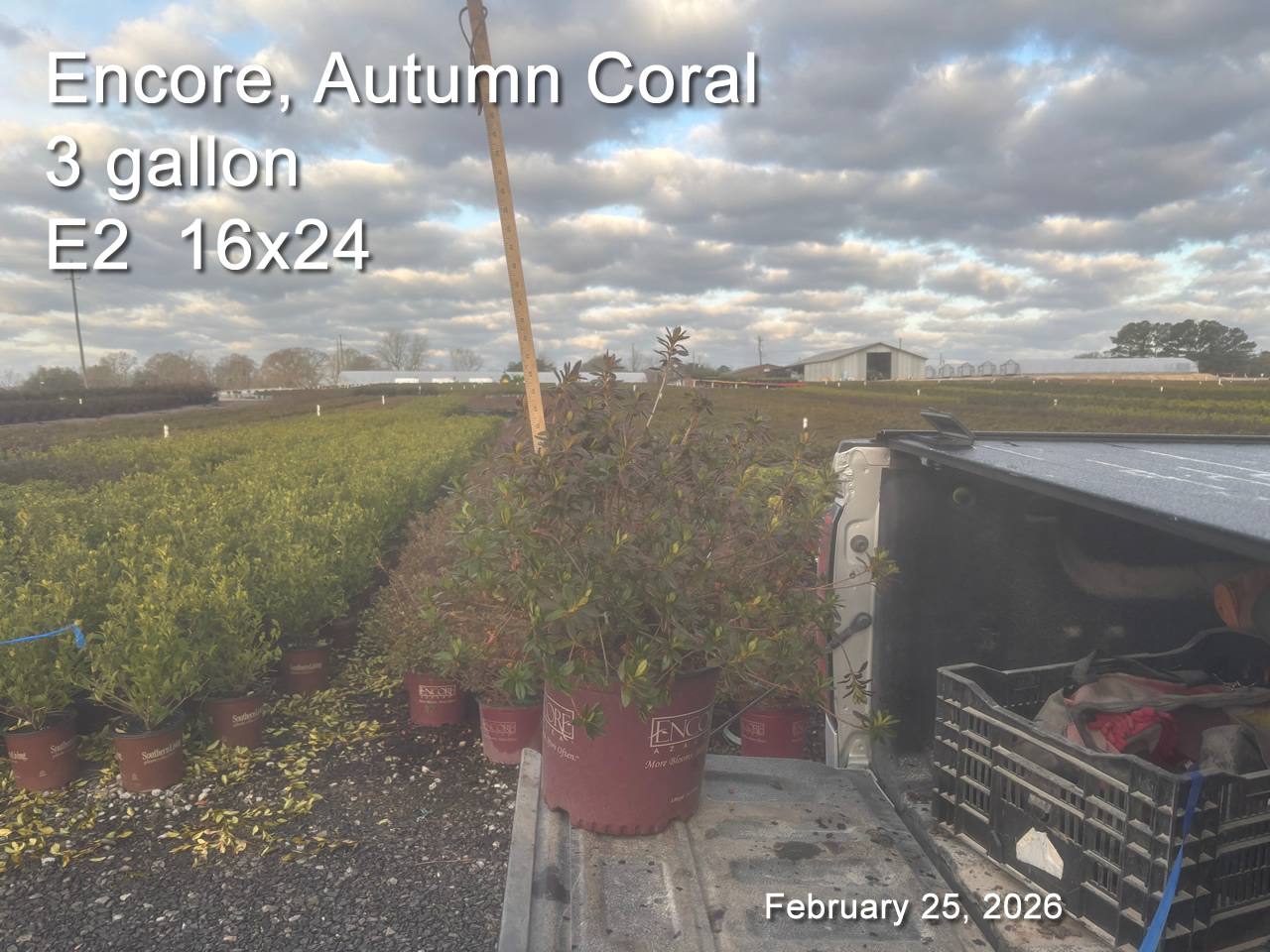 gallery/ecor3 e2 feb25.jpg